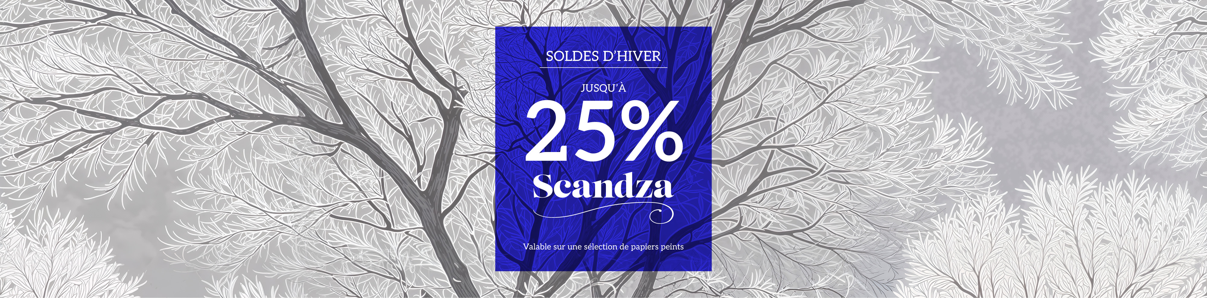Scandza 25%